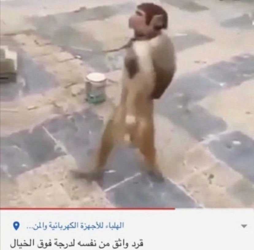 _Sima3's tweet image. لامين يامال