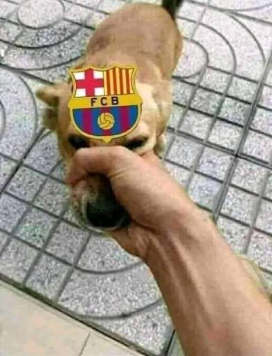 Sergiusz Górski tweet media