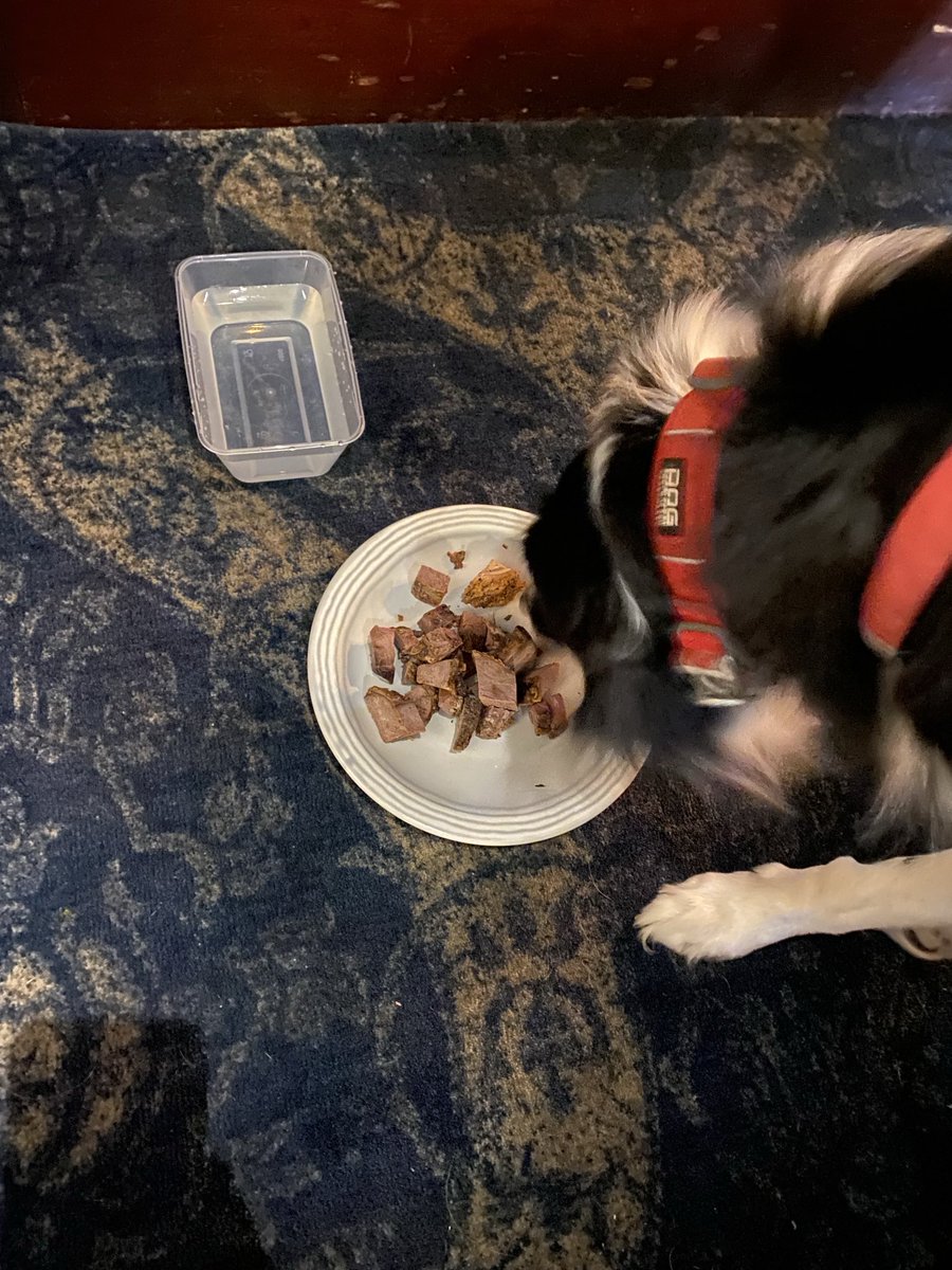 Been to the pub, they very kindly gave me a plate full of beef - winning! 😋