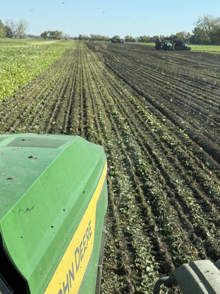 Chad Michael tweet media