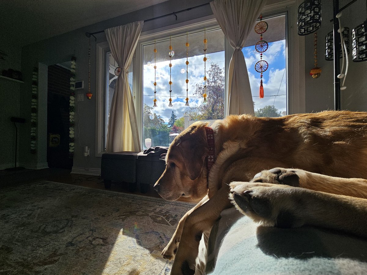 Oh yeah ❤️
Relaxing Sunday.