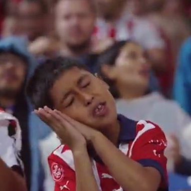 Jajaj un morrito los mandó a dormir 🥱