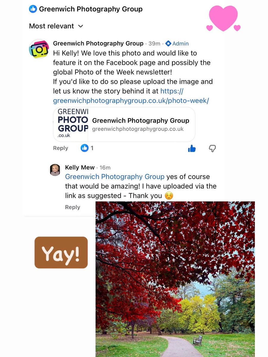 Yay 🙌🏻 📸 

#autumn #autumnphotography #autumnphotos #photography #nature #photographer #greenwich #greenwichpark #london #photooftheday #picoftheday