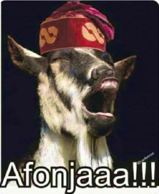 AnyiDonFrank's tweet image. #NewProfilePic
#FactoryReset 🔨 🧠 🔨 is back. Our Molding Hammer always ready to deconstruct dem Babylon. Reset Dem #YaribaYorubaRonus Brain 🧠 @trigottista @vanidasuwan_2 @AnyiAnambra