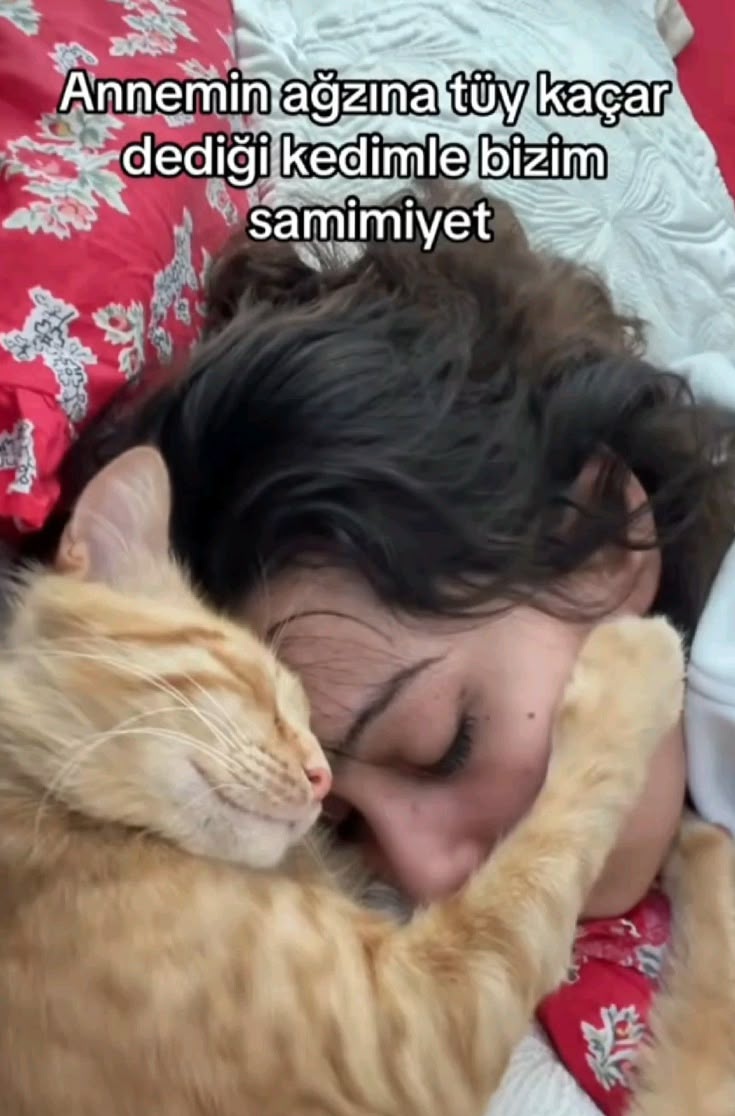 Sevda (@sevdaloji) on Twitter photo 