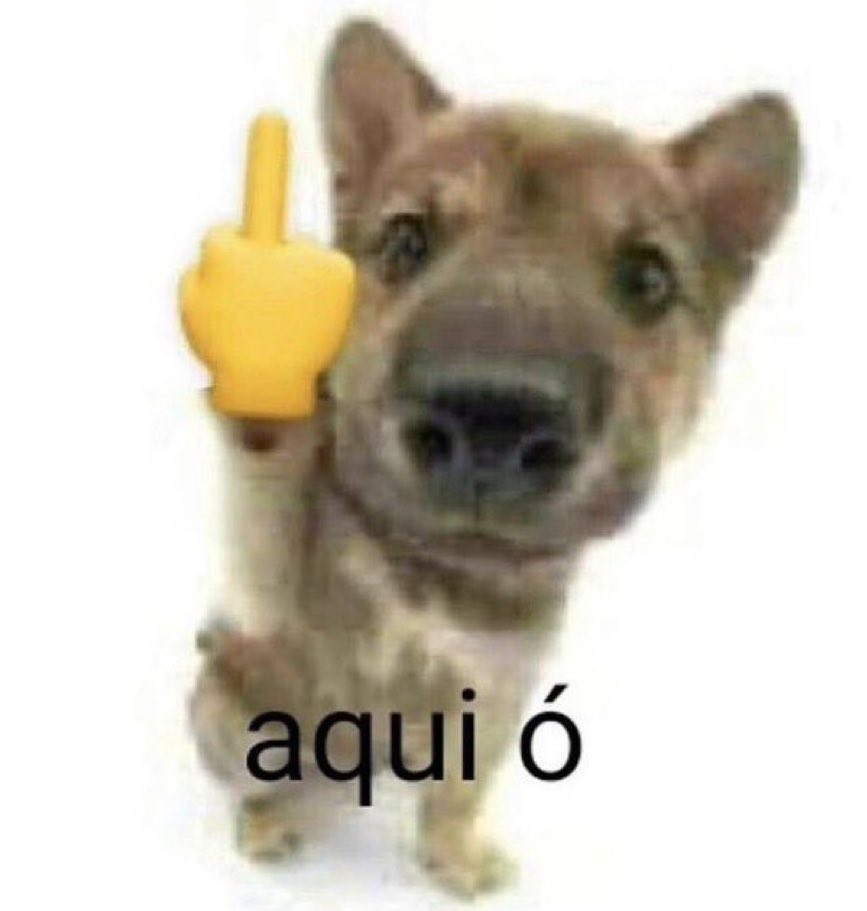 rapais nera p ta chuveno