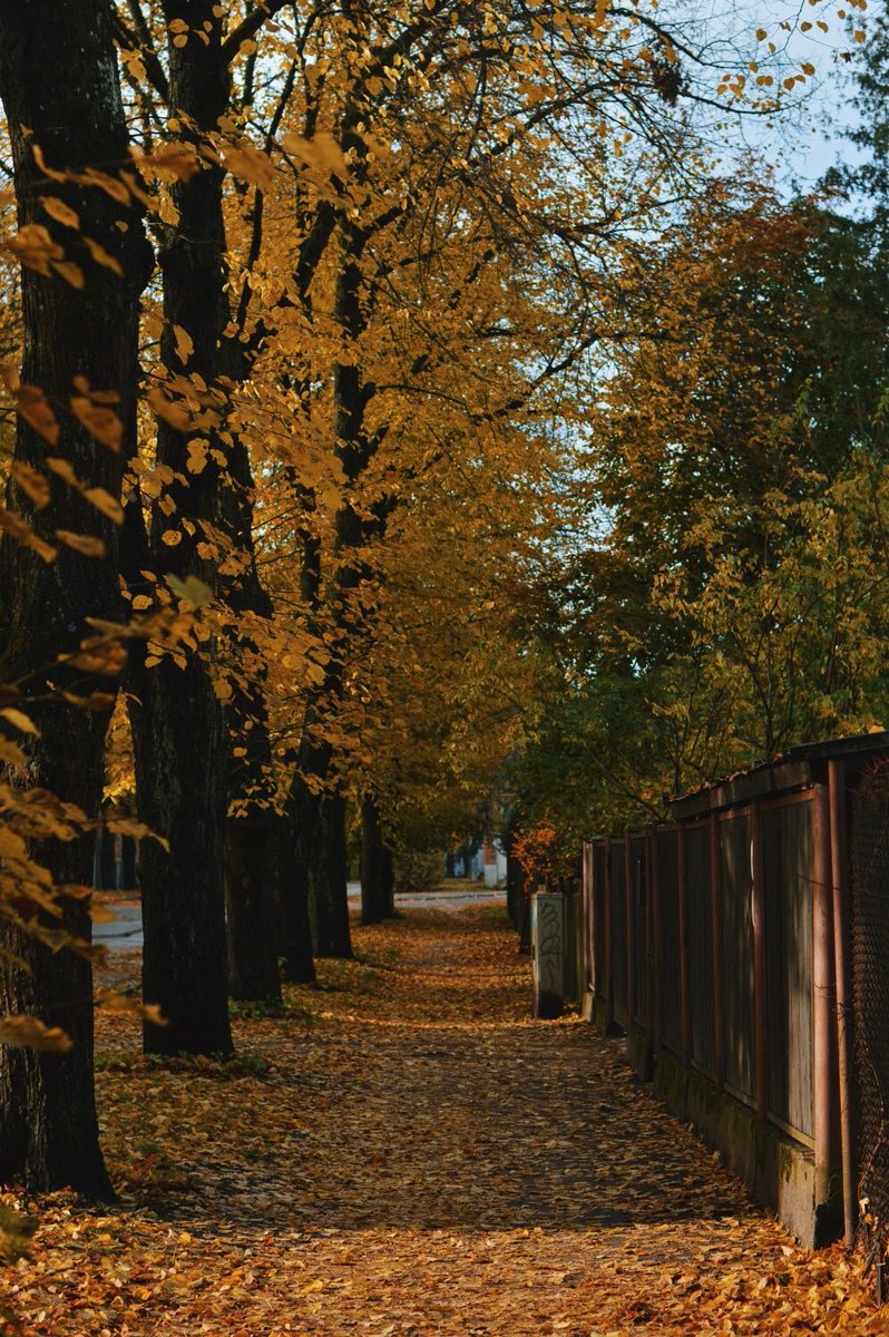 Laura Londe tweet media