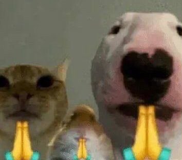 frnshssssst's tweet photo. God please, let Rosé sing Not The Same, Too Bad for Us, Call It the End, or Stay Little Longer on Day 1 Deadline Tour Jakarta 🙏🏻🙏🏻🙏🏻🙏🏻🙏🏻 https://t.co/SwpCNMHWzP