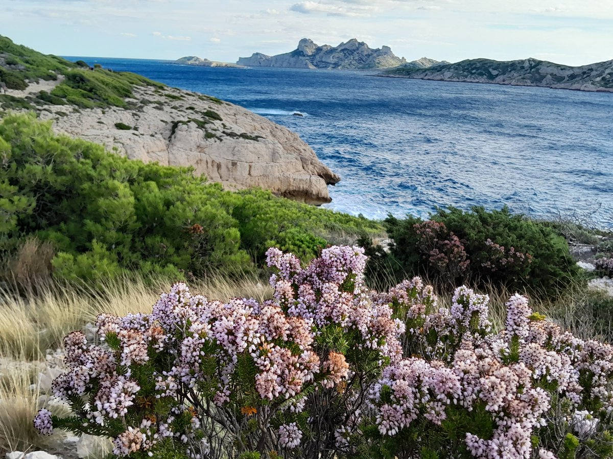 coolfinice's tweet photo. Sur l'eau l'été avec @cordobastien , à pieds en basse saison, le paradis sur terre et sur mer est à Marseille. La ville de toutes les passions. https://t.co/mraC1NeNYm