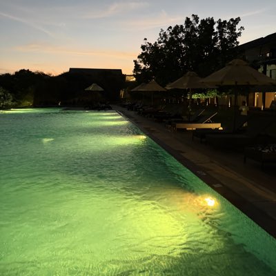 sank85's tweet photo. #NewProfilePic https://t.co/TIa9jjHENg