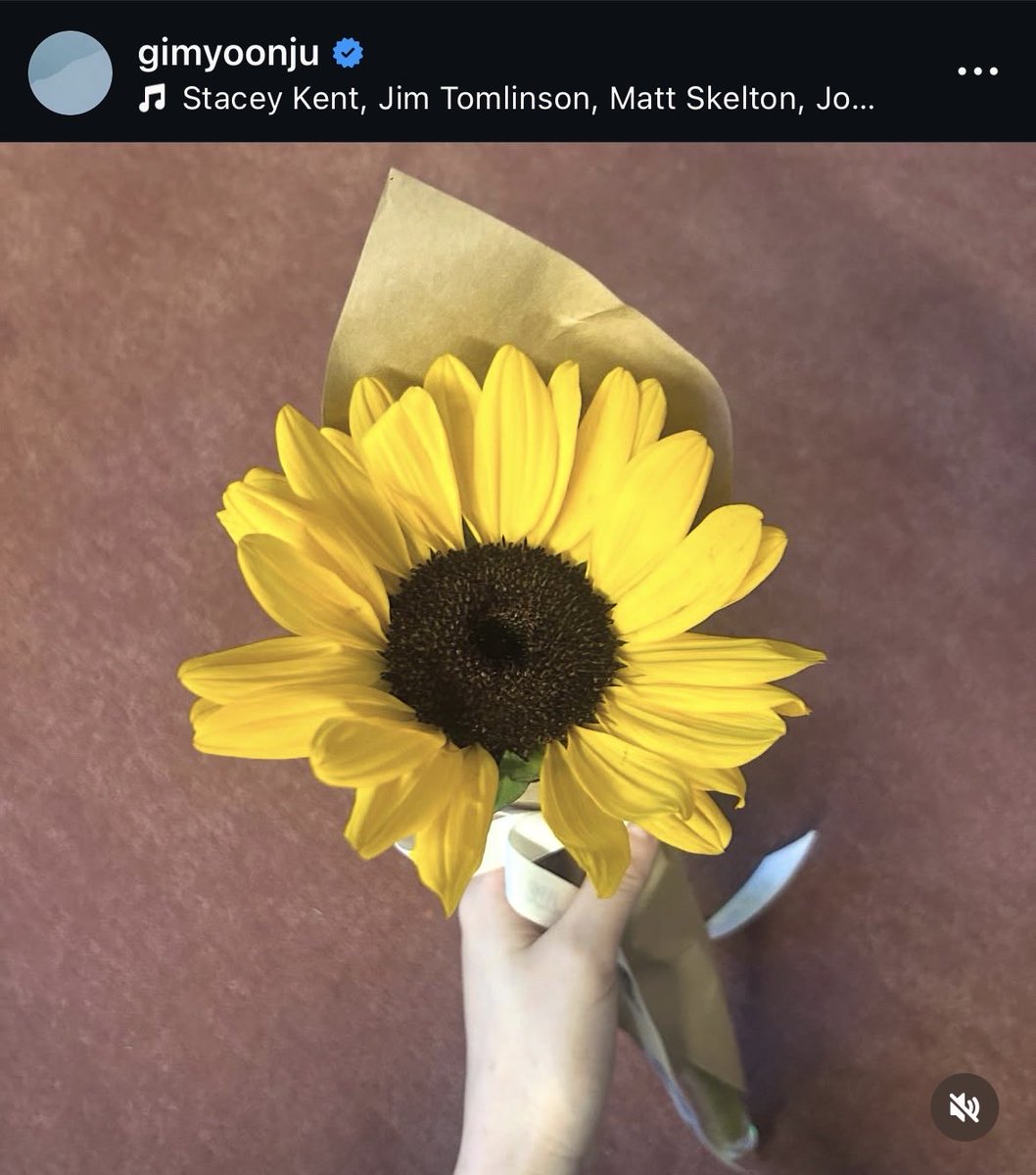 누가 줬는지 너무 알 거 같은 저 꽃……..…………
너무 달달해서 이빨이 썩었어요 저🫠🫠