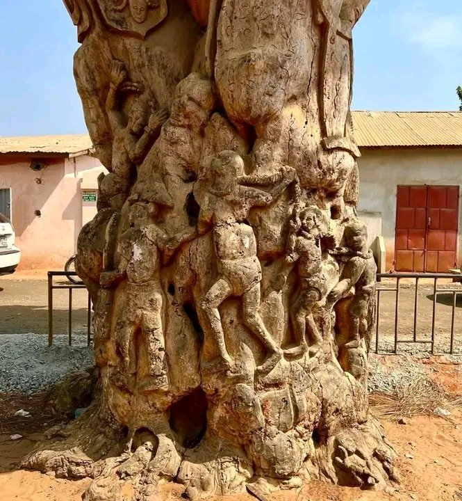 Nelpepper's tweet image. THE TREE OF FORGETTING
According to the story, male slaves had to walk around it 9 times and women 7 times to forget their family, their culture, their history, and their identity.

Bénin republic 🇧🇯