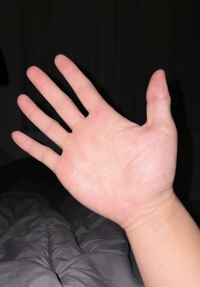 보기보다 매우 센 편
이력 화려함

#스팽 #핸드스팽