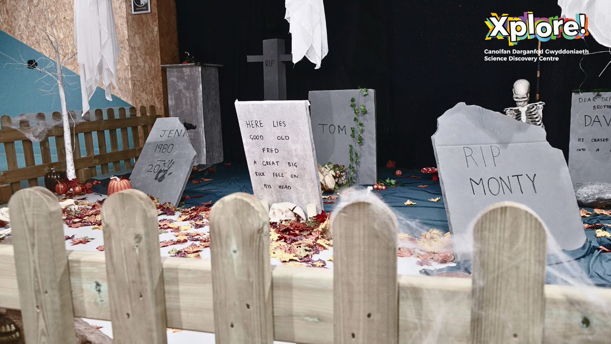 Join us for our Pumpkin Hunt — little pumpkins are hiding all around the centre, waiting to be found! 🕵️‍♀️✨

If you find them, you could win some fang-tastic prizes! 🧛‍♂️🎁

🎟️ Book your tickets today and get hunting! bit.ly/3U3c44q