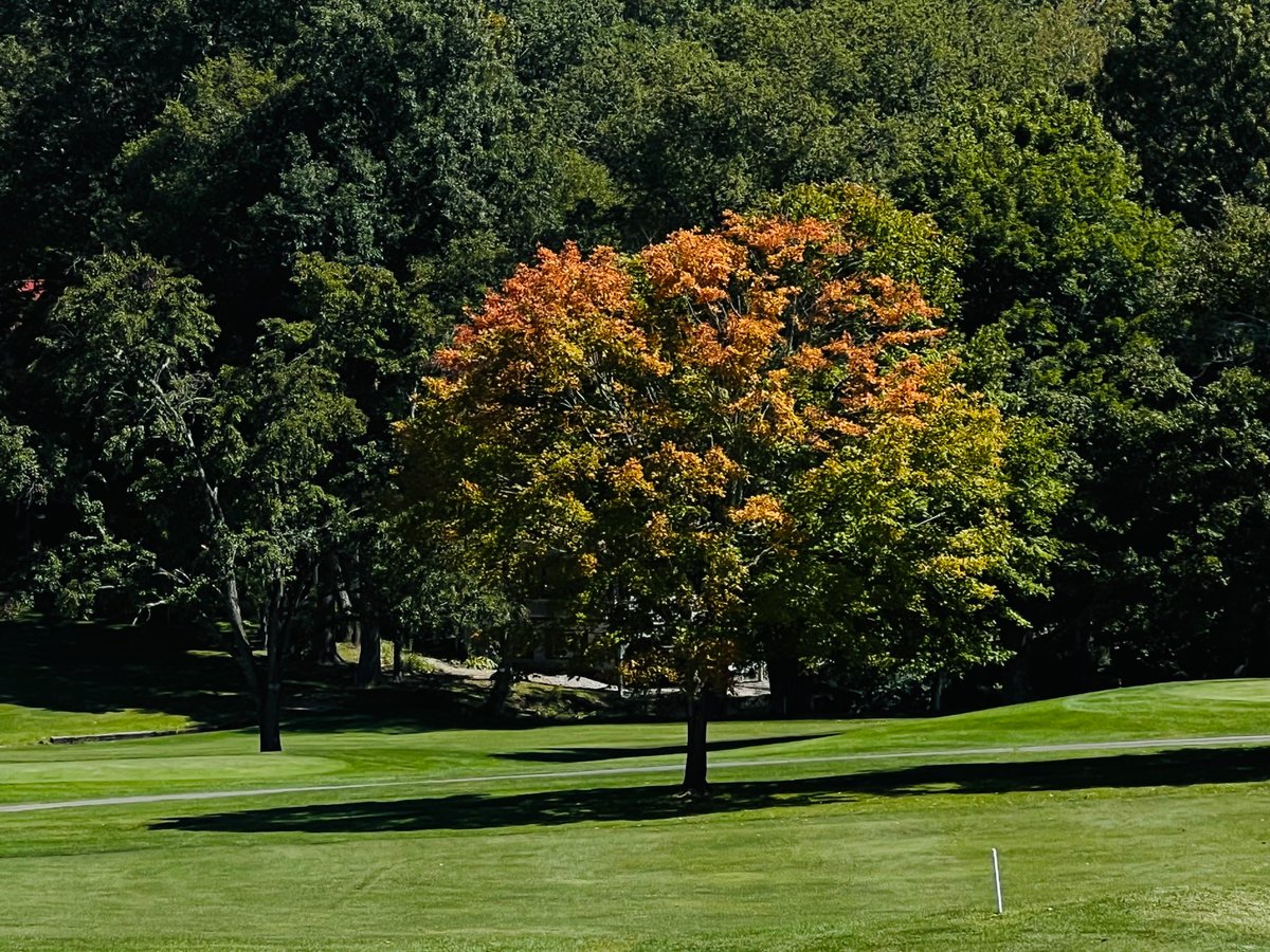 bcherry4's tweet photo. Fall comes early in North Carolina. https://t.co/pye54WY5rR