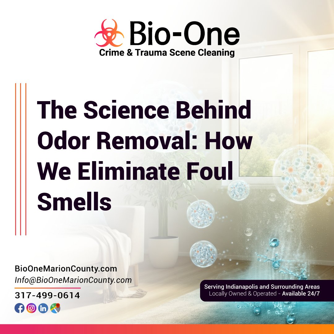 BioOneIndy's tweet photo. Sometimes, an odor is too pervasive and persistent for DIY methods.

📰: https://t.co/MJ1GW17q2R

🌐 https://t.co/n827QBzdzO
📧 info@BioOneMarionCounty.com

#bioone #bioonemarioncounty #blog #news #biohazardcleanup #odorremoval #odorremovaltips #odorcleanup https://t.co/CDhBicQ7Jx