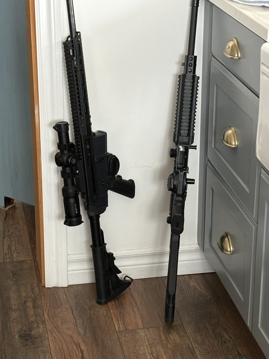 Phraid's tweet image. Took the prohibs out for a breath.