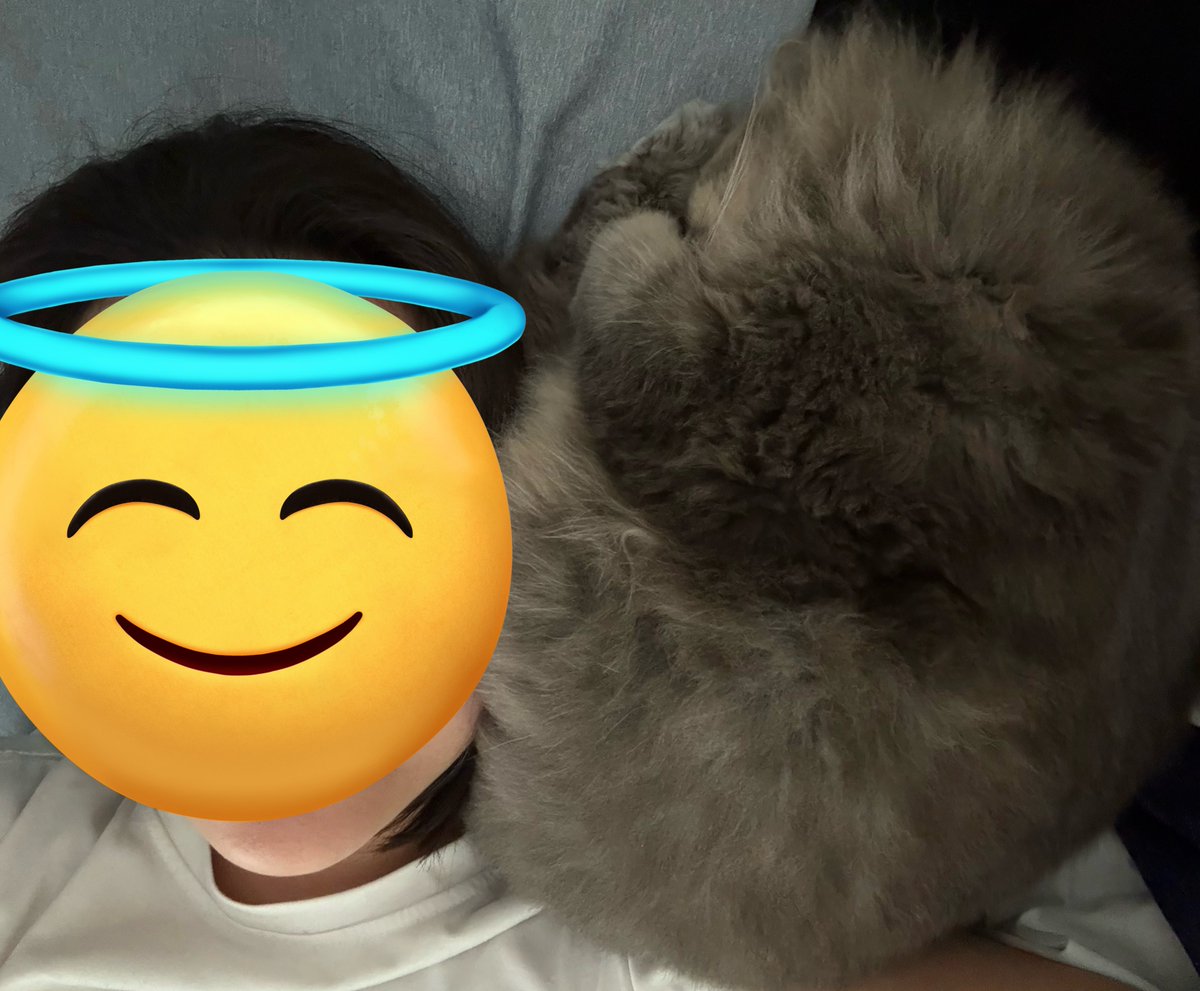 もこもこのひと tweet media