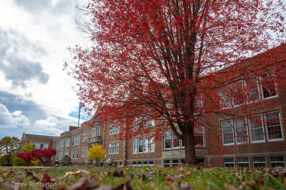 Corey Templeton tweet media