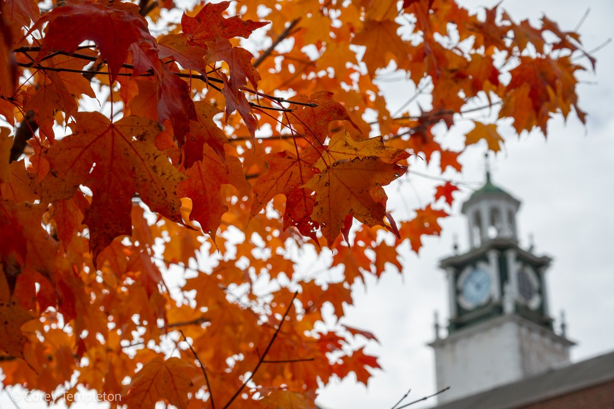 Corey Templeton tweet media