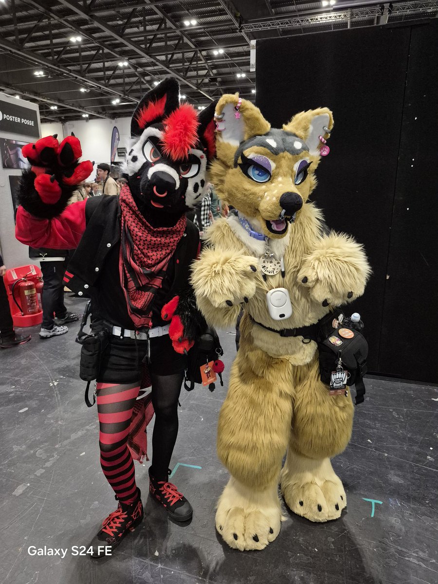 TarXmin_Rogue tweet media