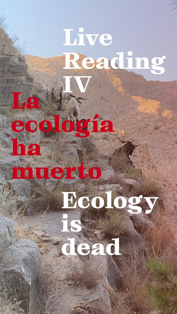 Mauro Gilfournier tweet media