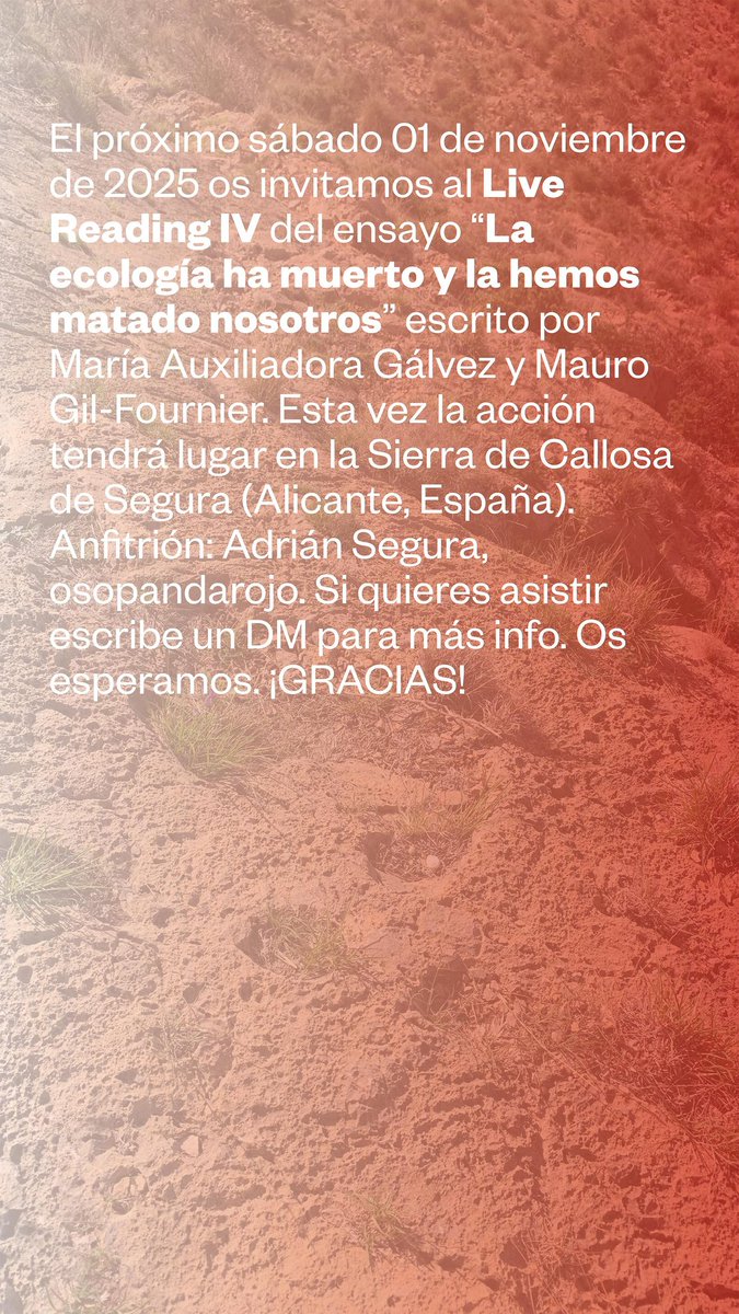 Mauro Gilfournier tweet media