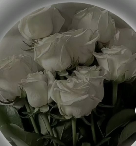 Humaira Raheel tweet media