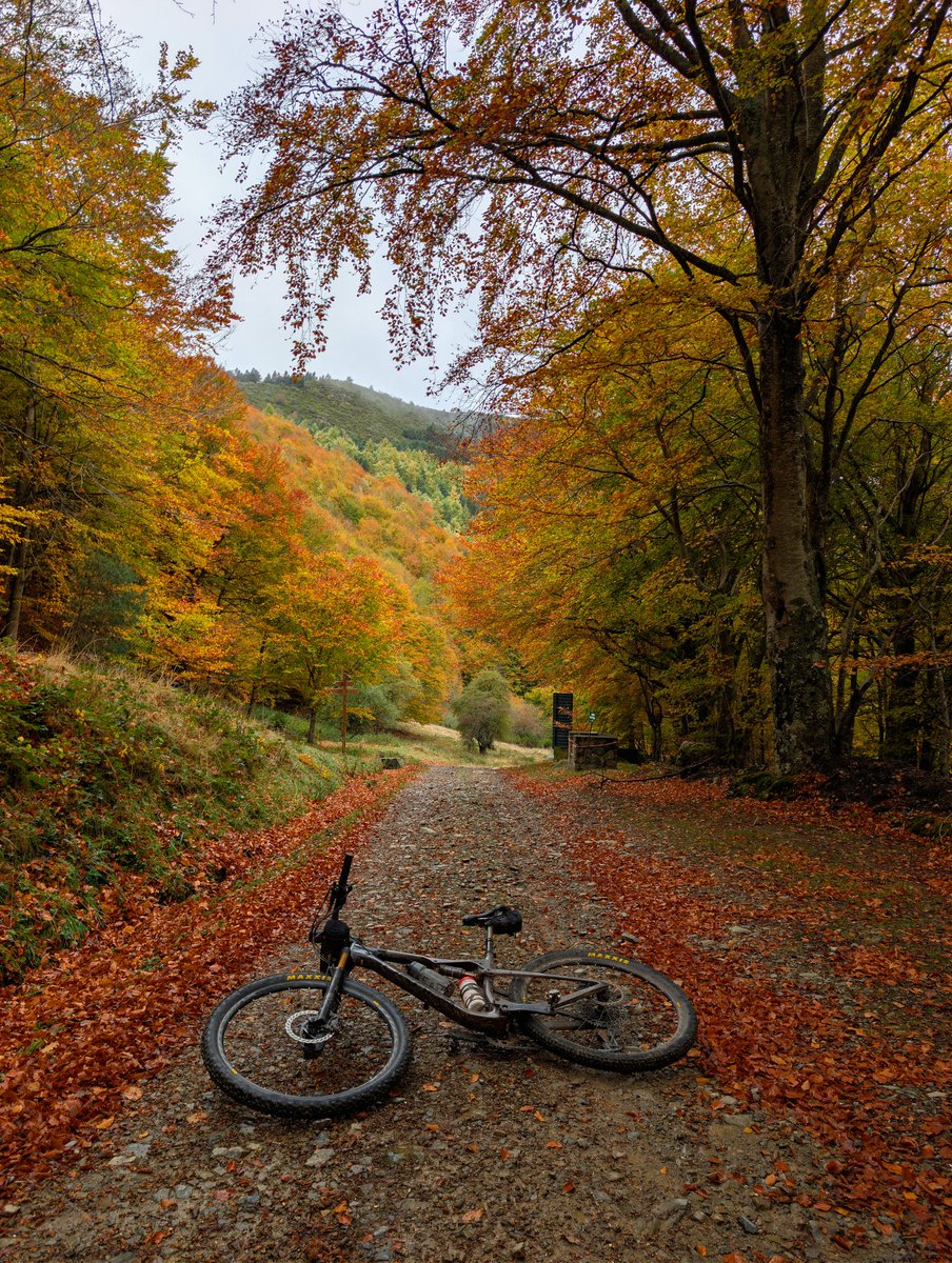 amantes_cycling's tweet photo. Otro día más disfrutando de la otoñada sobre la Mountain Bike 🍁 https://t.co/hN2gSeXxwB