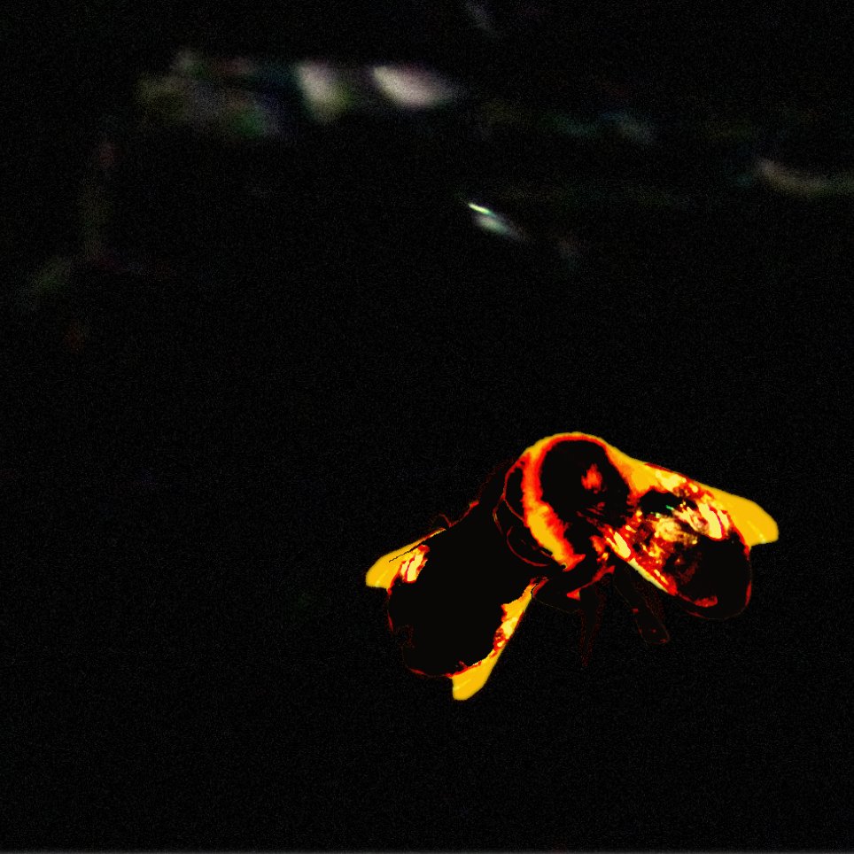 fieldresponse tweet picture