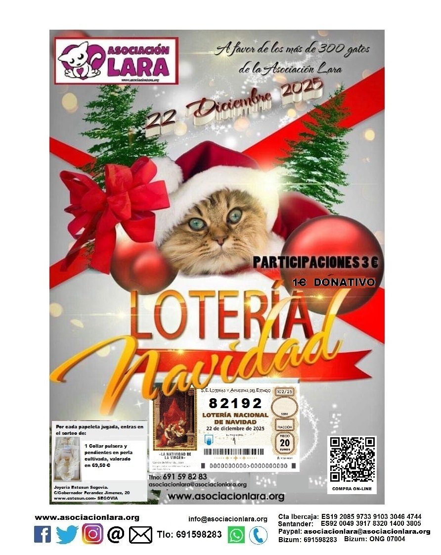 lara_santuario's tweet photo. Buenas tardes a todos 
Este años esperemos q sea un año en el q nos toque ya q nos ocurrió en 2 ocasiones en el pasado, fue el reintegro pero algo fue
No os quedéis sin vuestra papeleta o el décimo
Nos lo podéis pedir por Wp, mail, redes sociales.. https://t.co/h59zUyaJso