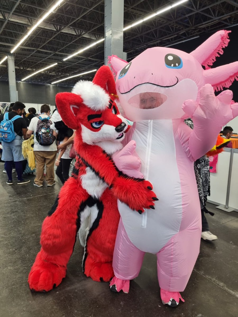 RedCrossZero's tweet image. 