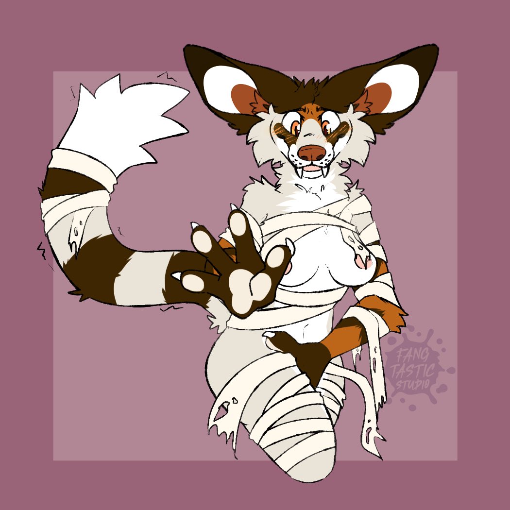 Archie 🔜 LVFC tweet media