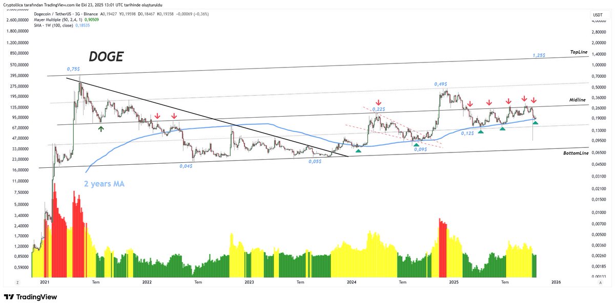 Cryptollica tweet media