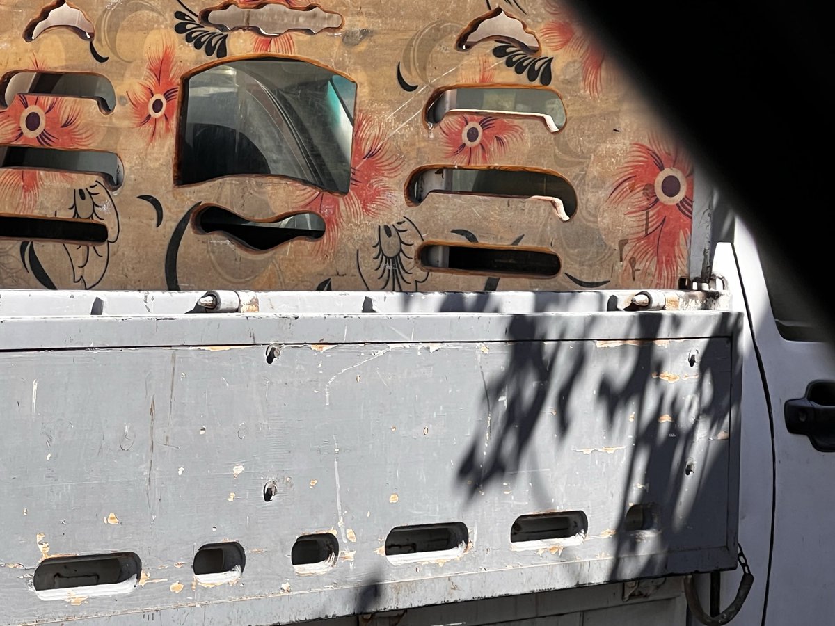 الظهر أحياناً بيكون هو الوش