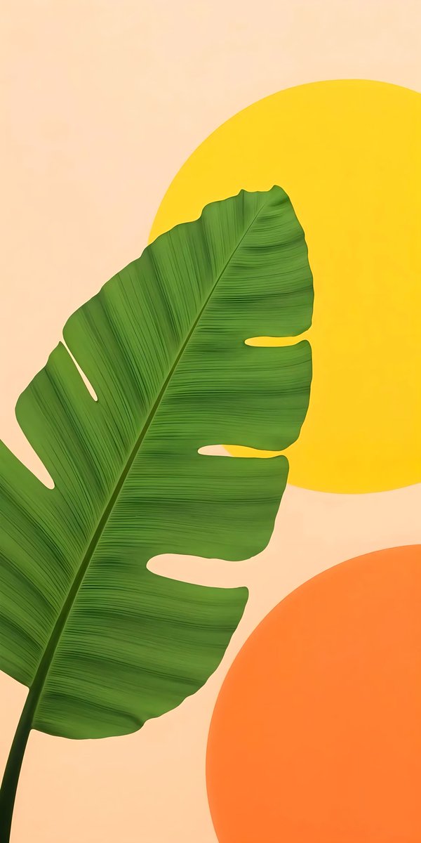 Leonard18_X's tweet image. &quot;Bringing the tropics to my screen 🍃✨ #TropicalVibes #CleanAesthetic #NatureLover&quot;