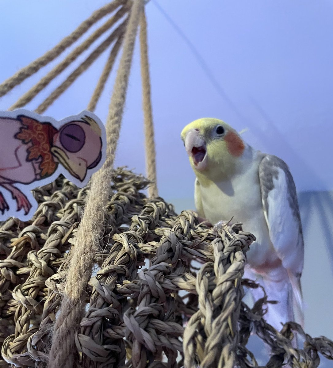 cannedmuffins tweet media