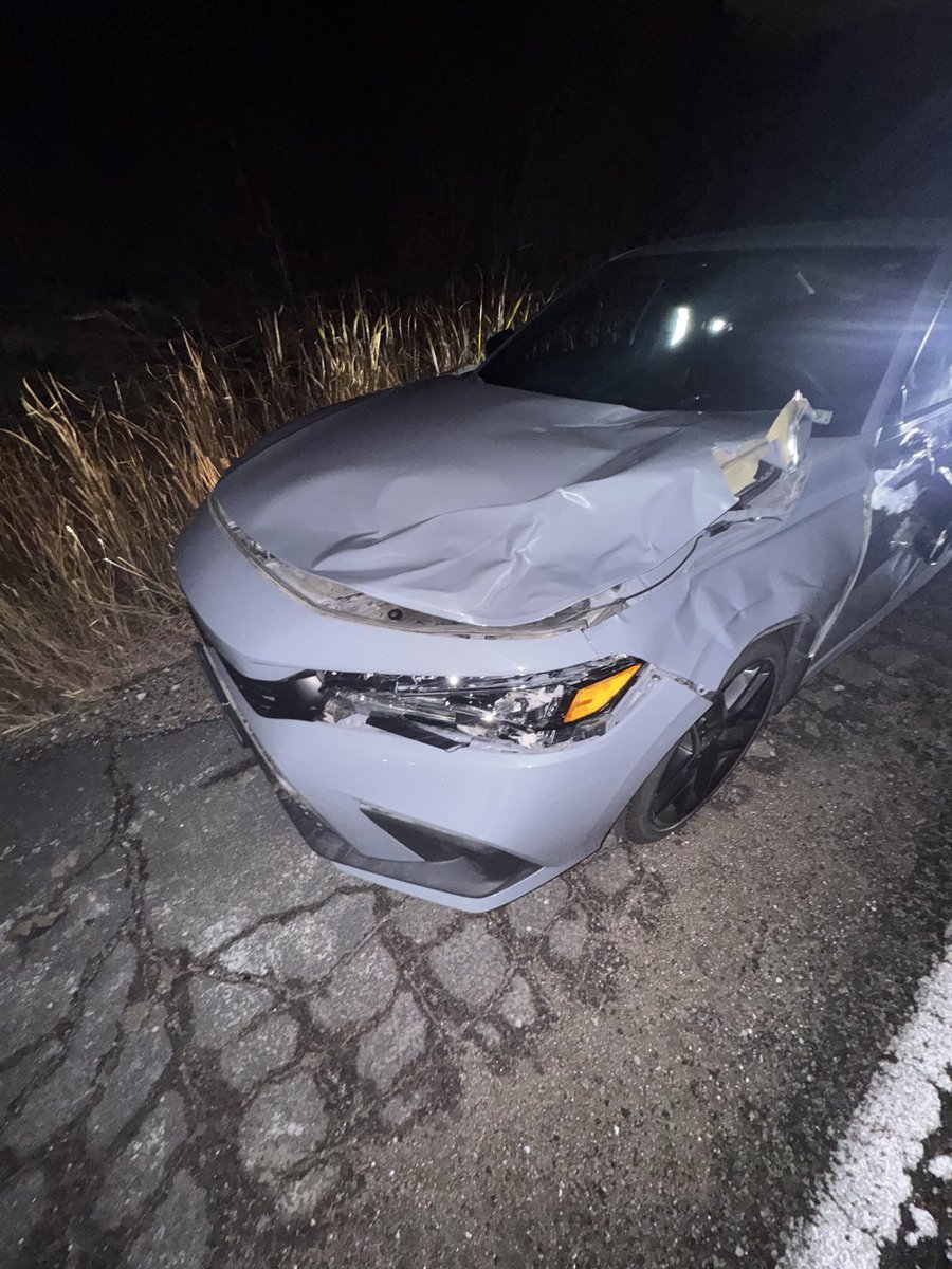 InfernoCS2's tweet image. How the fuck does a deer do all of this