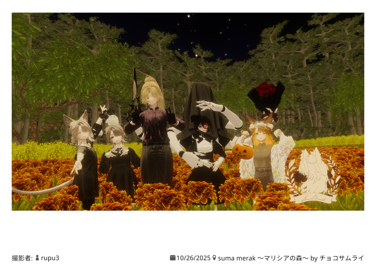 鳥玩具:同族を喰らう背徳感最高 on X