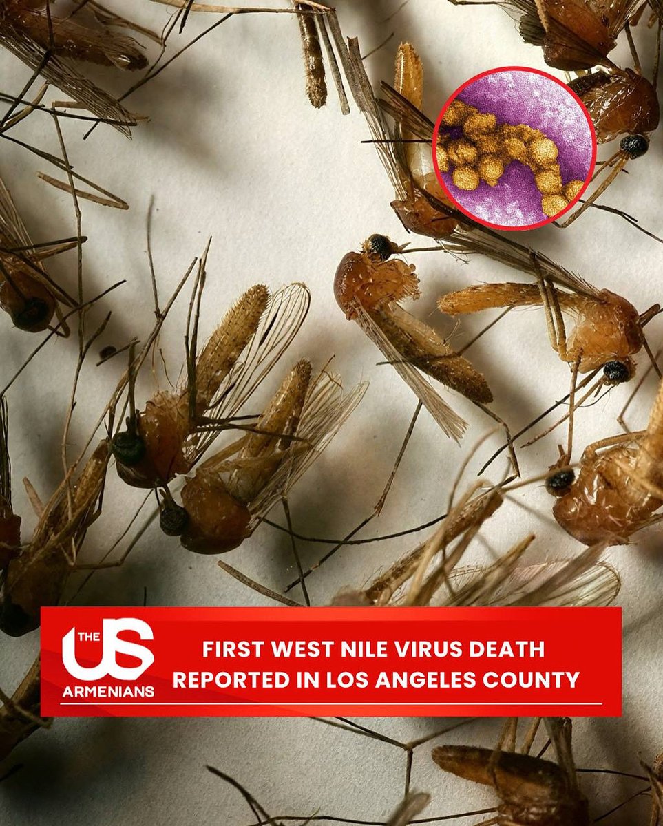 Los Angeles County health officials have confirmed the first death from the West Nile virus in 2025. 

Source: KTLA