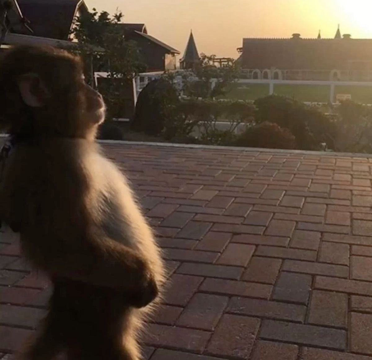 ComputeFi era..it feels bullish asf 

powered by <a href="/cysic_xyz/">Cysic</a> 

gmsor✨