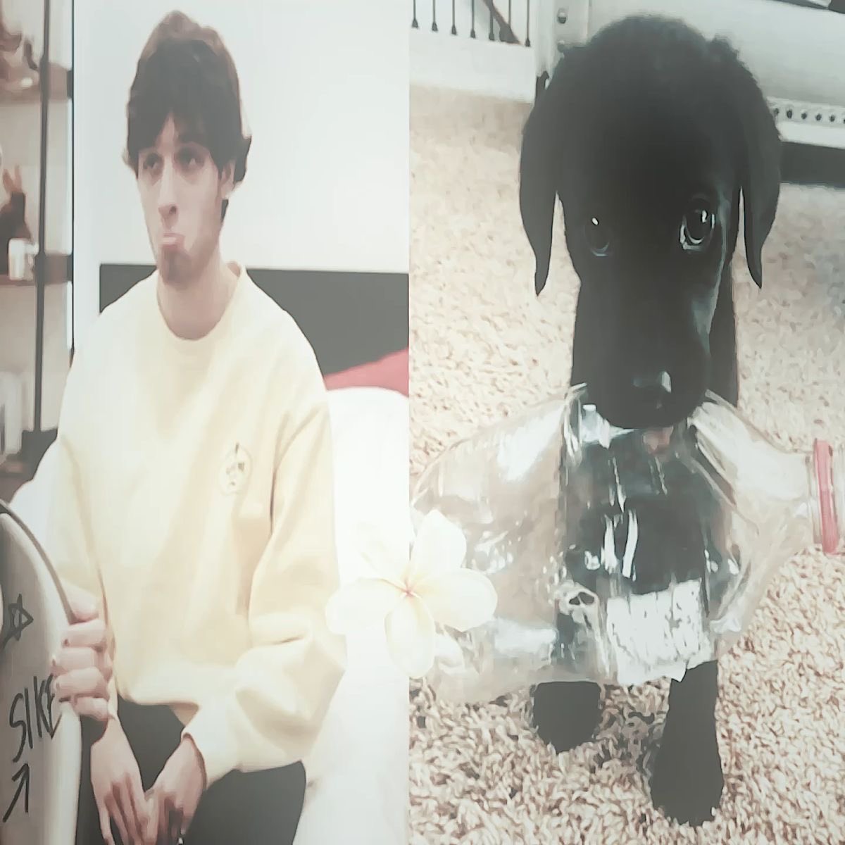 widac podobienstwo ?
#NewProfilePic