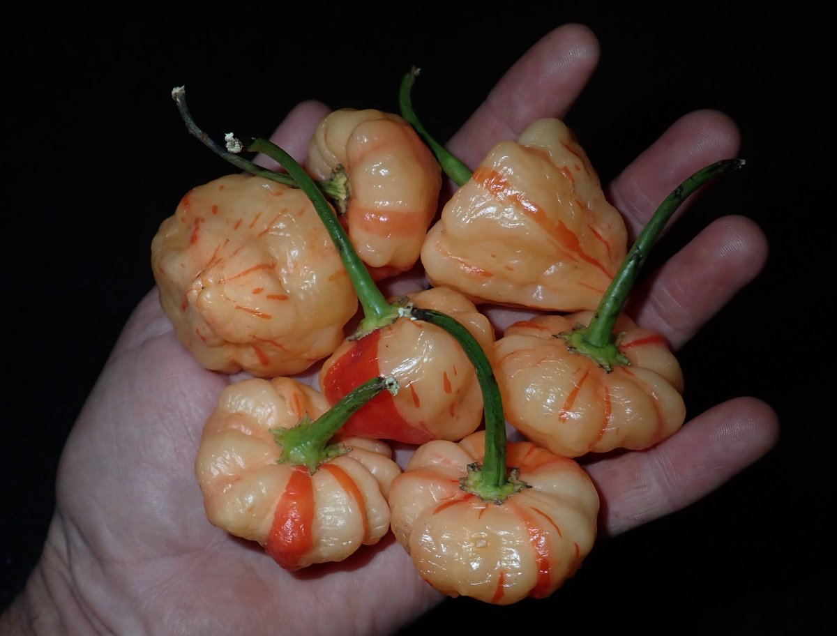 Chris Fowler tweet media