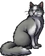 HAITUS - Warriors Character Of The Day tweet media