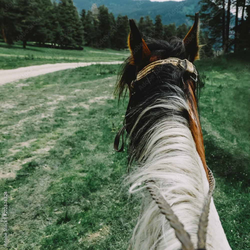 Jake_Osbo's tweet photo. #AdventureswithJake https://t.co/owdJJ12JNg