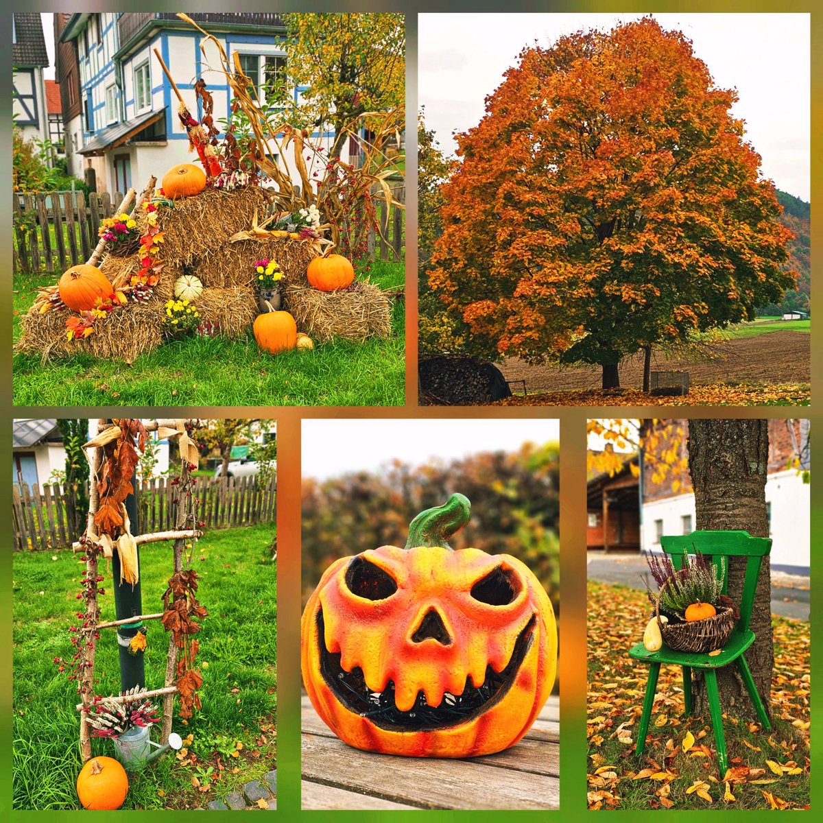 Oktober- Vibes 🍂🍁
.
#oktober #Herbst #tollefarben #bunt #Halloween #handybild #samsunggalaxy #Hobby #Enjoy
