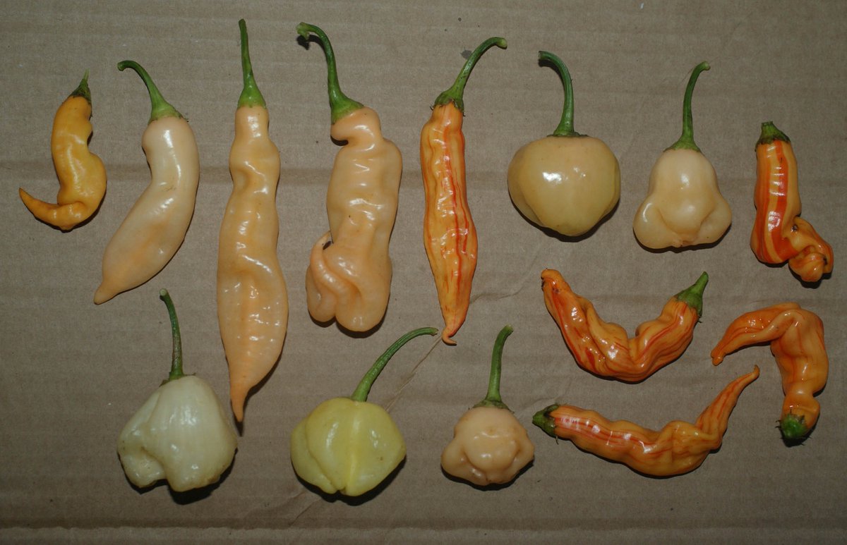 Chris Fowler tweet media