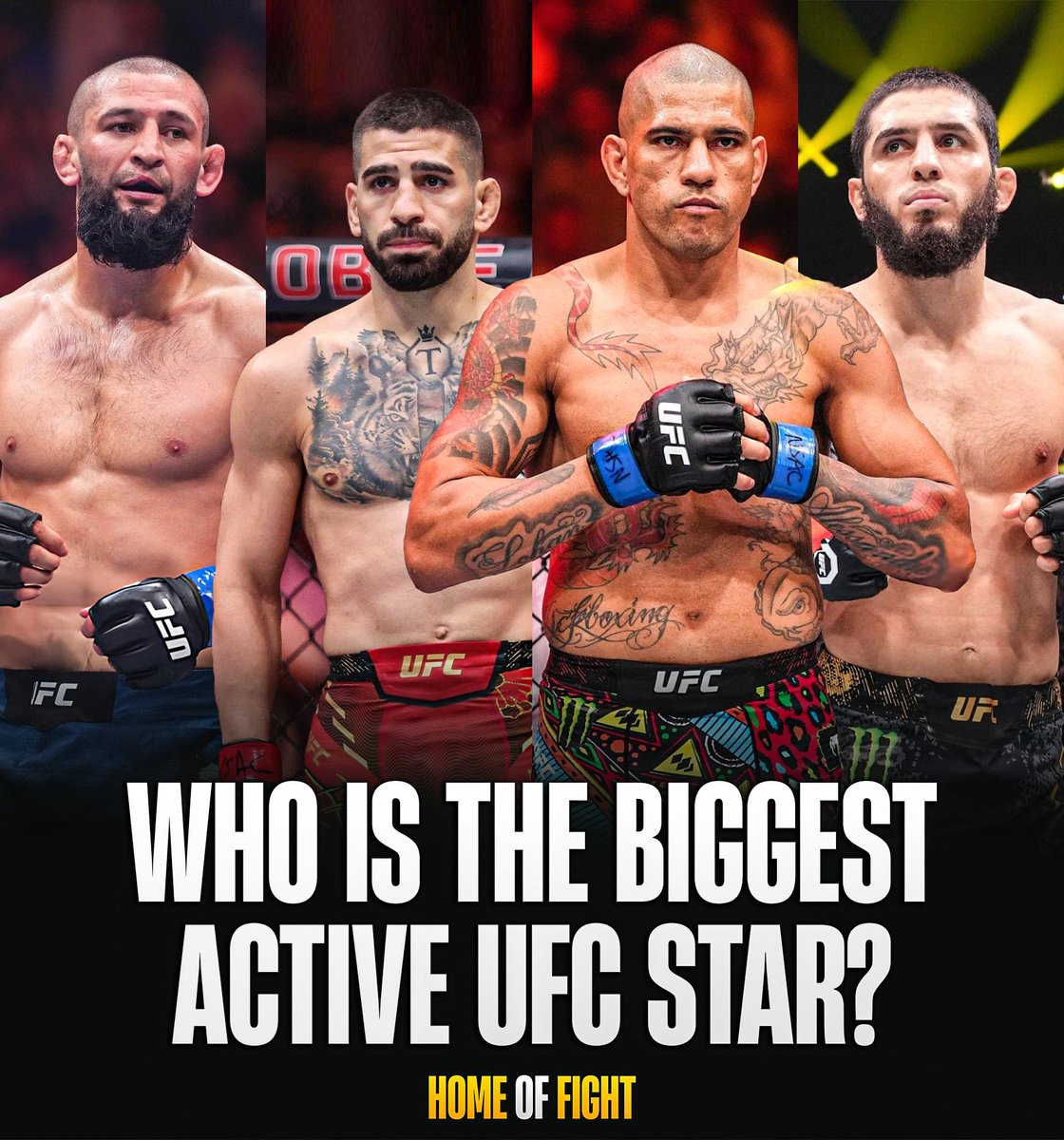 Home of Fight tweet media