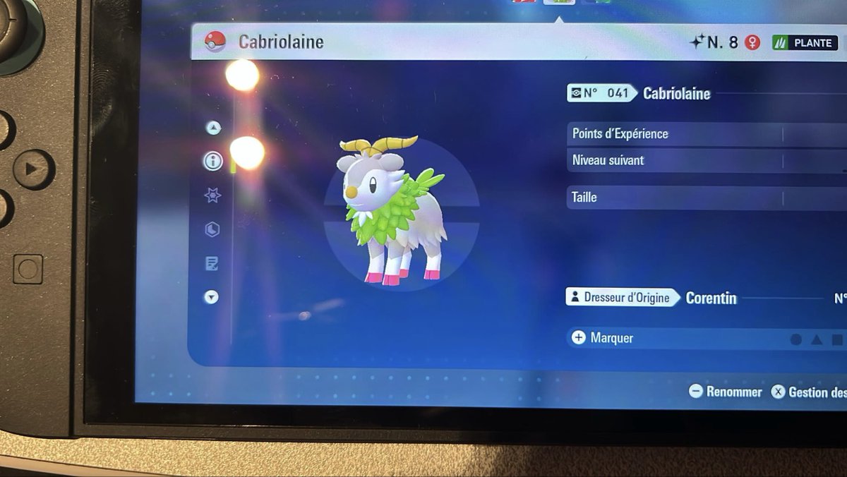 NotBadSoldier's tweet image. Je kiffe ma vie