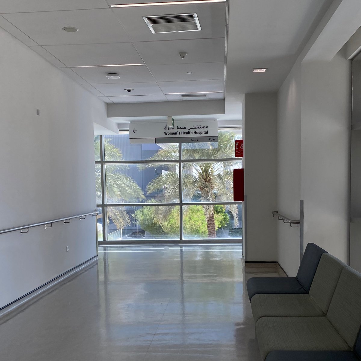 Areej ꪆ𝜚 tweet media